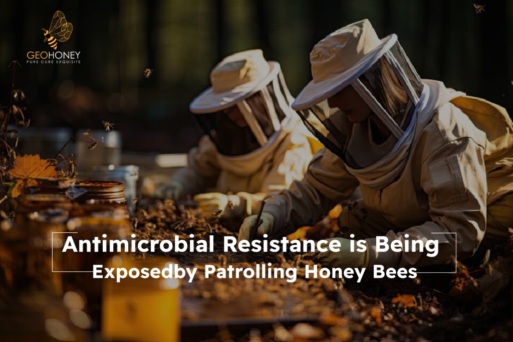 Antimicrobial Resistance is Being Exposed by Patrolling Honey Bees